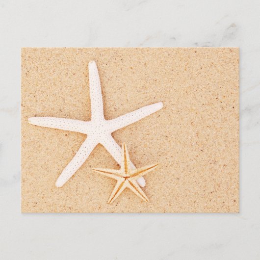 Twee Starfish op een strand Briefkaart (Voorkant)