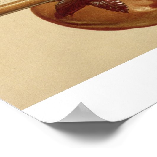 Twee sterren en een rudra vina uit de Musical Poster (Hoek)