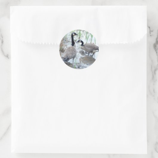 Twee stickers ganzen (Tas)