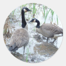 Twee stickers ganzen