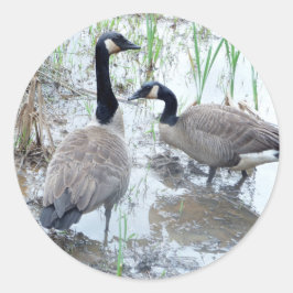 Twee stickers ganzen