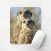 Twee stokstaartjes Cute Foto Muismat (Met muis)