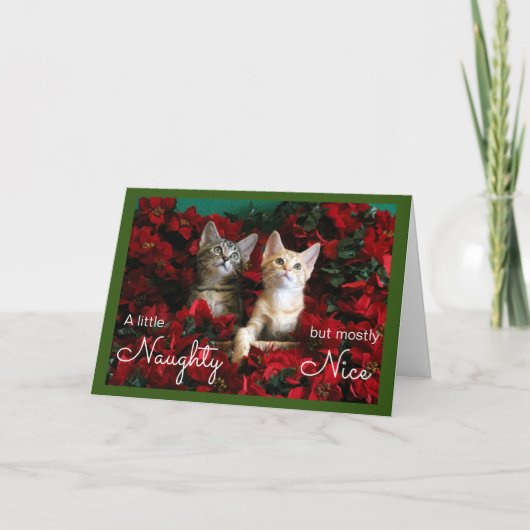 Twee stoute en leuke Kittens in Poinsettias Feestdagen Kaart (Voorkant)