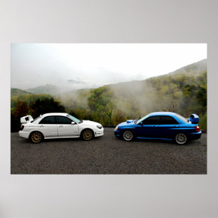 Twee subarus in de Smoky Mountains Poster