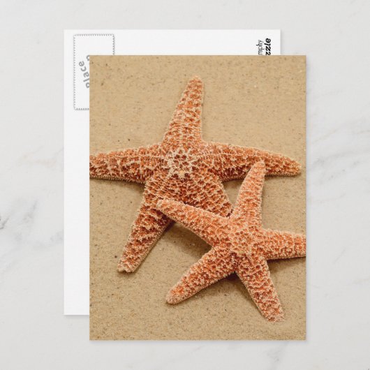 Twee suikerstroop briefkaart (Voorkant / Achterkant)