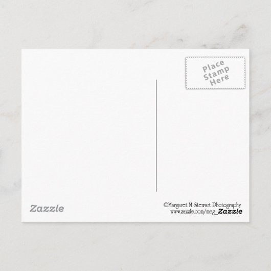 Twee suikerstroop briefkaart (Achterkant)