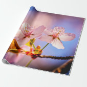 Twee Sunlit Sakura Blossom Cadeaupapier (Uitgerold)