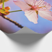 Twee Sunlit Sakura Blossom Cadeaupapier (Hoek)