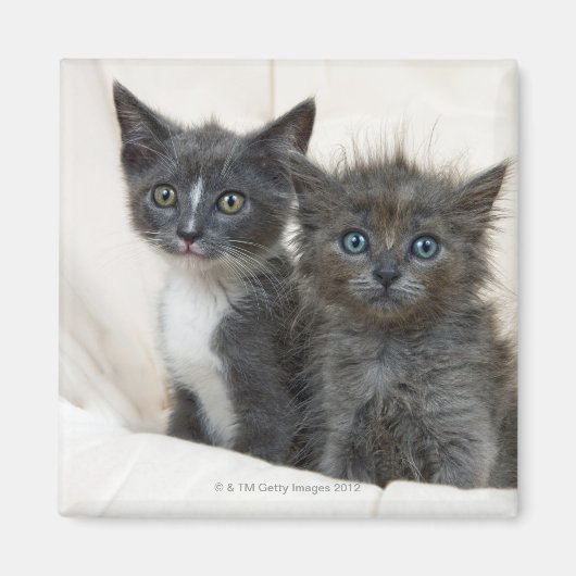 Twee tafelkeutens magneet (Voorkant)