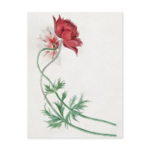 Twee takken met een bloem - Michiel van Huysum.