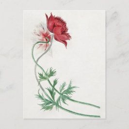 Twee takken met een bloem - Michiel van Huysum.  Briefkaart