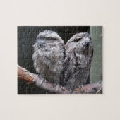 Twee Tawny Frogmouth Birds Legpuzzel (Horizontaal)
