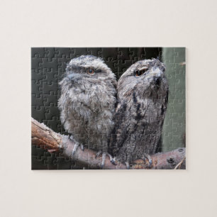 Twee Tawny Frogmouth Birds Legpuzzel