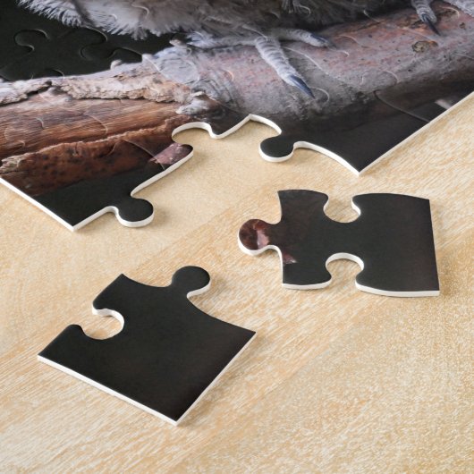 Twee Tawny Frogmouth Birds Legpuzzel (Zijkant)