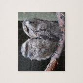 Twee Tawny Frogmouth Birds Legpuzzel (Verticaal)