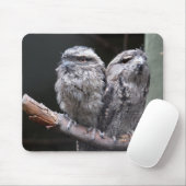 Twee Tawny Frogmouth Vogels Muismat (Met muis)