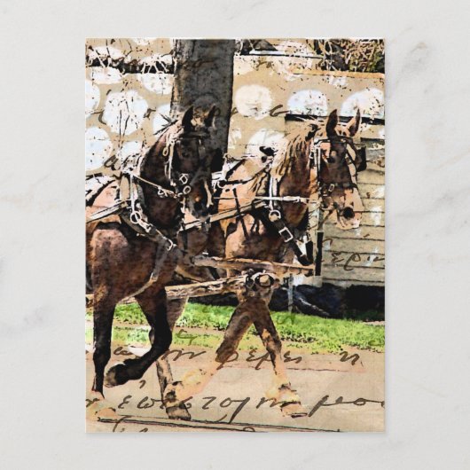 Twee teams van paarden Gemengde Media Collage Briefkaart (Voorkant)