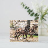 Twee teams van paarden Gemengde Media Collage Briefkaart (Staand voorkant)