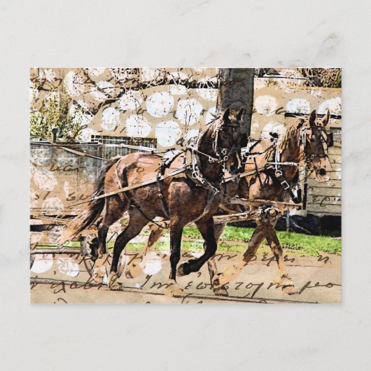 Twee teams van paarden Gemengde Media Collage Briefkaart (Voorkant)