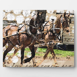 Twee teams van paarden Gemengde Media Collage Fotoplaat