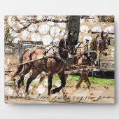 Twee teams van paarden Gemengde Media Collage Fotoplaat (Voorkant)