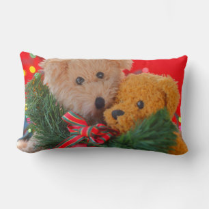 Twee teddyberen met groen en boeglumbaal kussen