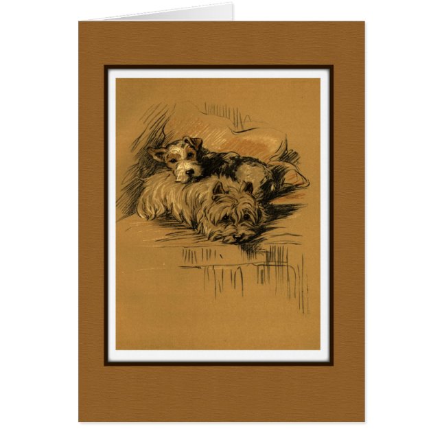 Twee Terrier Dogs Cuddling (Voorkant)