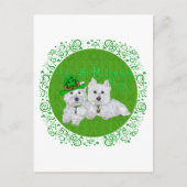 Twee testwesties op St Patricks Day Briefkaart (Voorkant)