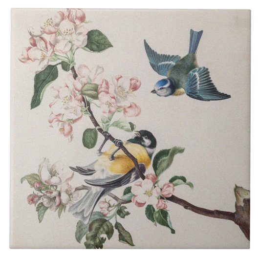 Twee  tietvogels op een appelboom tegeltje (Voorkant)