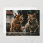 Twee Tom Cats Praten Grappige Kat Briefkaart (Voorkant / Achterkant)
