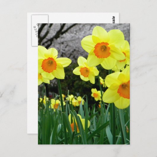 Twee Tone Briefkaart (Voorkant / Achterkant)