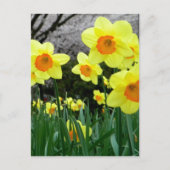 Twee Tone Briefkaart (Voorkant)