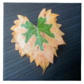 Twee Tone Leaf Keramische Tegel Tegeltje (Voorkant)