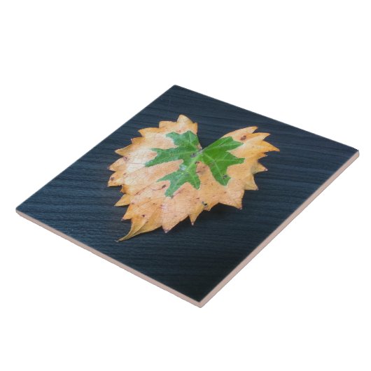 Twee Tone Leaf Keramische Tegel Tegeltje (Zijkant)