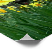 Twee Tone Poster (Hoek)