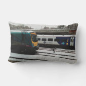 Twee treinen in de sneeuw buitenkussen (Achterkant)