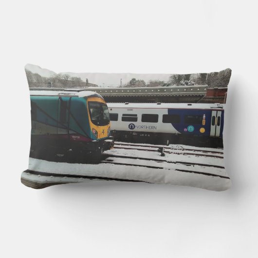 Twee treinen in de sneeuw buitenkussen (Voorkant)