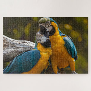 Twee tropische parrots Jigzaag Puzzle Legpuzzel