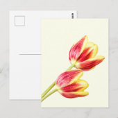 Twee Tulpen Briefkaart (Voorkant / Achterkant)