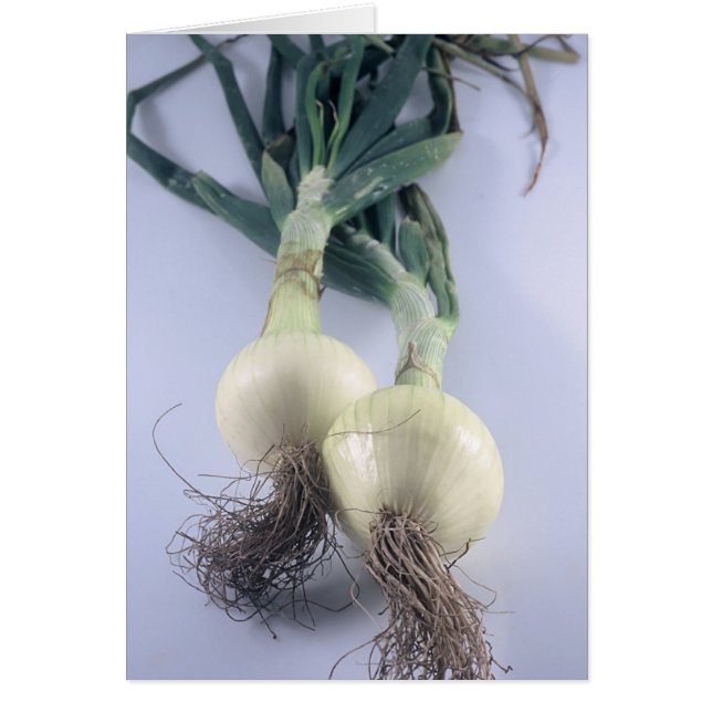 Twee uien (Voorkant)