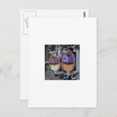 twee uilen briefkaart (Voorkant / Achterkant)