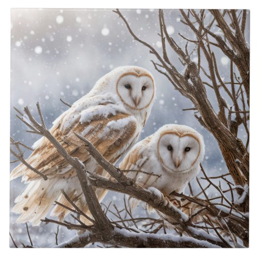 Twee uilen in de sneeuw seizoensgebonden tegeltje (Voorkant)