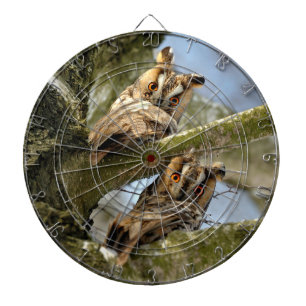 Twee uilen in het bos, vogels, dieren Dartbord