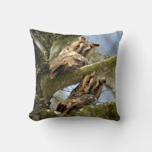 Twee uilen in het bos, vogels, dieren in het wild  kussen
