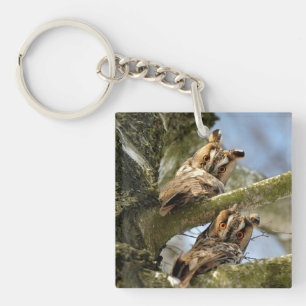 Twee uilen in het bos, vogels, dieren in het wild sleutelhanger