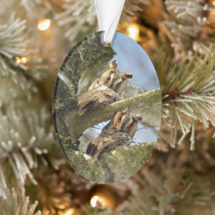 Twee uilen in het bos, vogels, dieren Ornament