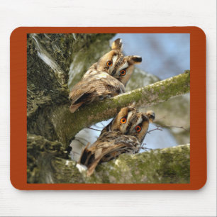 Twee uilen in het bos, vogels, dierenleven muismat