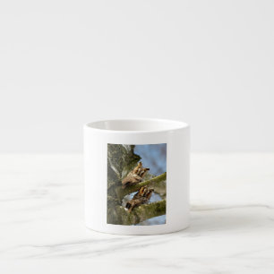 Twee uilen in het bos, vogels, wilde dieren Espres Espresso Kop