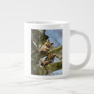 Twee uilen in het bos, vogels, wilde dieren Reusac Grote Koffiekop
