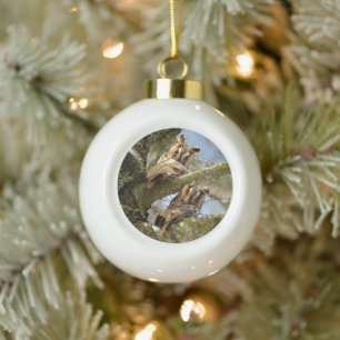 Twee uilen in het bos, vogels, wildlife Keramiek B Keramische Bal Ornament